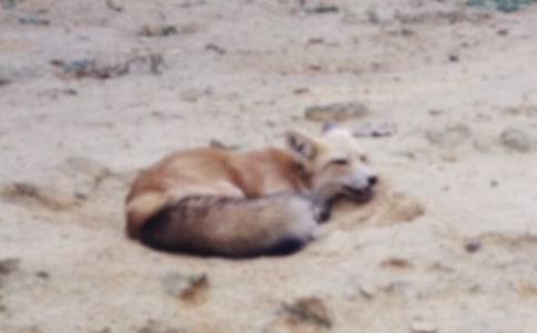 [����]���˲���ĺ���ְ֡������15ƪ