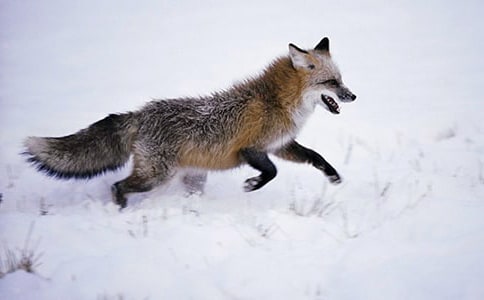 ���˲���ĺ���ְ֡�����м���15ƪ