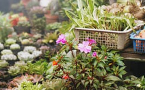 ��ѡ��������300����ƪ