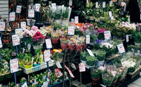 【推荐】花店作文300字3篇