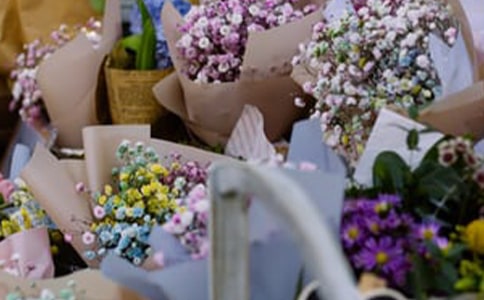 ����������������300��3ƪ