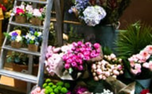 ��������600�ֺϼ���ƪ