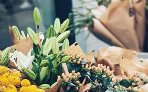 ���Ƽ�����������300����ƪ