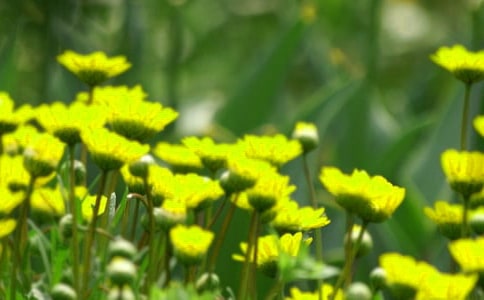 ���ڼ�����Ļ�������600�֣���ѡ3ƪ��