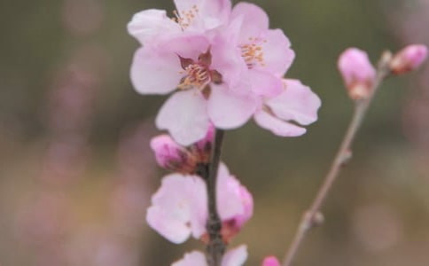 ����Ļ��������600��[�ر�]