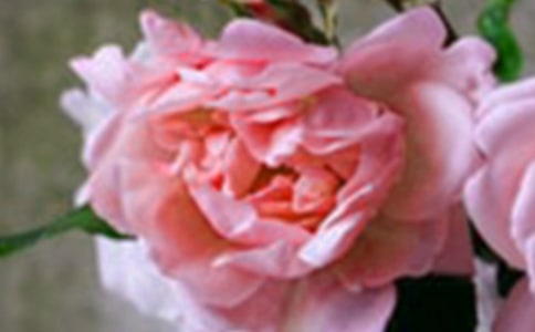 ���¿��ڼ�����Ļ�������800��