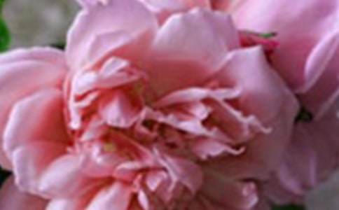 ������Ļ����һ����