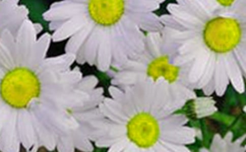 ���¿��ڼ�����Ļ������ķ���800�֣�ͨ��82ƪ��