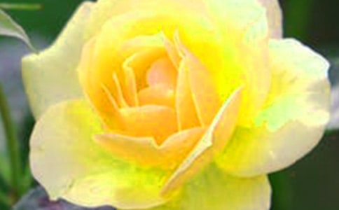 ���ڼ�����Ļ������ķ��ģ�ͨ��10ƪ��