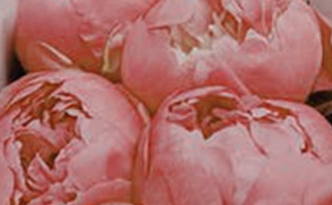 雨中摇曳的花朵作文(精选15篇)