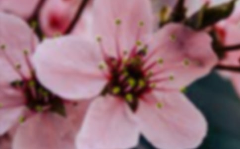 �񻨶�������������350��