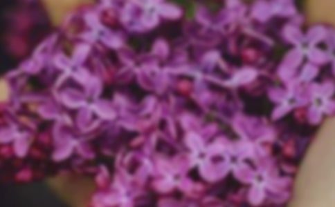 会飞的花朵450字作文