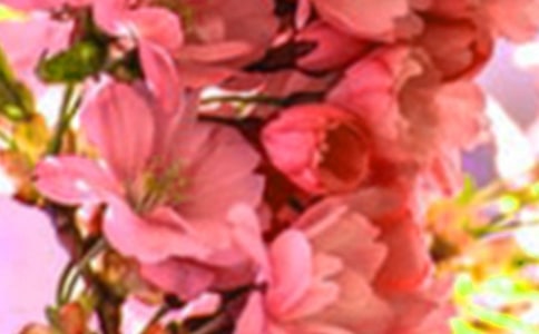 ���ڼ�����Ļ����������