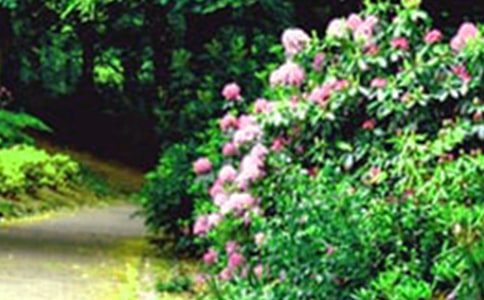 ����������԰д�������Ļ��5ƪ