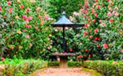 д����԰���Ļ���[3ƪ]