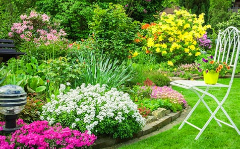 ��ѡ���л�԰����300��4ƪ