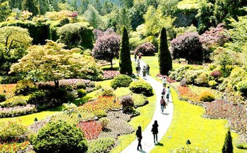 �λ�԰����300��4ƪ