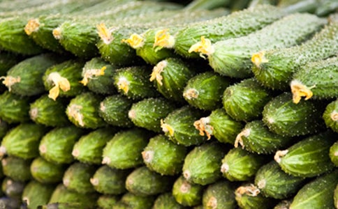 ����ѡ���ƹ�����300��3ƪ