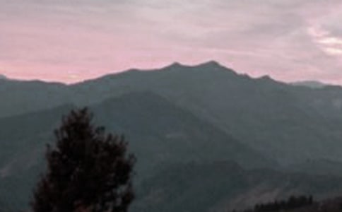 黄山游记作文500字(精选7篇)