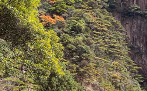 ���ϼ���ʵ�õĻ�ɽ�μ�����4ƪ