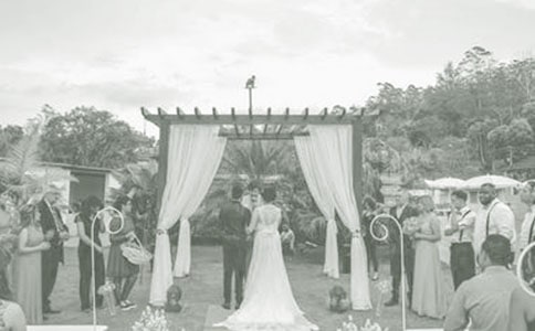 ����ѡ���μӻ�������300����ƪ