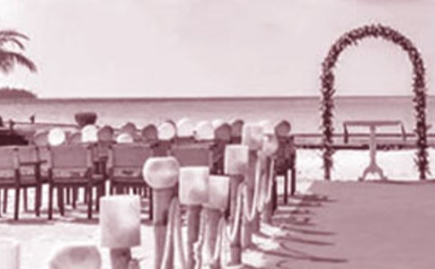 ʵ�õĻ��������300��10ƪ