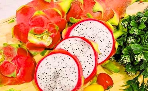 ������Сѧ�����Ľ���6ƪ