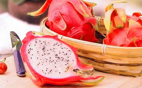 ���ر���������Сѧ��������ƪ