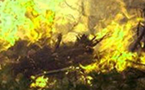 ���ڻ��ֵ�����300��3ƪ