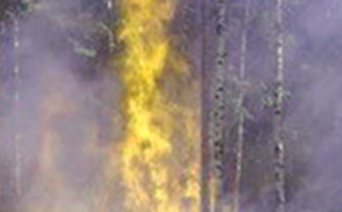 ��ѡ��������400��8ƪ