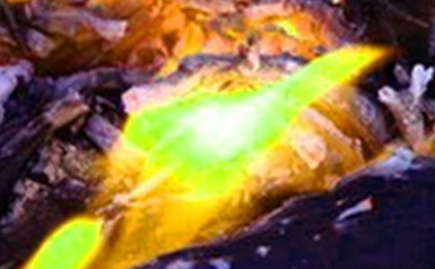 ��������300����ƪ