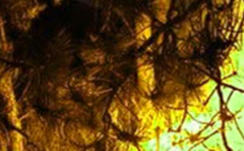 ��ѡ��������400��5ƪ