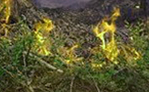 ���ֵ�����400��