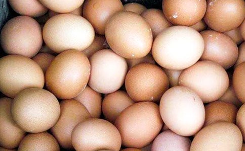 �弦��Сѧ����(����15ƪ)