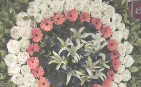 ����д����ľ�������