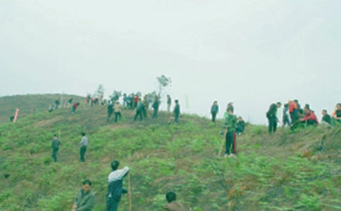 ���ڼ�������600�ְ�ƪ