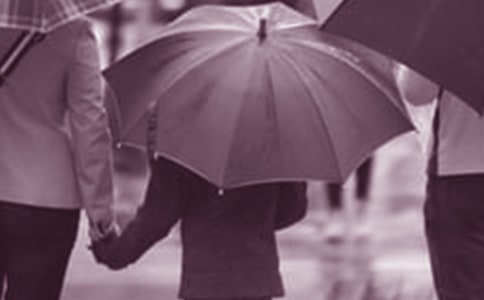 �����ڼ�ͥ�����϶����