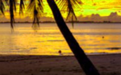 ���ڵ�����600��[��ȫ7ƪ]