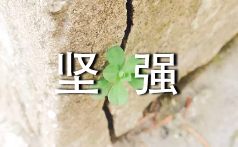 ��ʵ�á���ǿ����400�ֻ���8ƪ