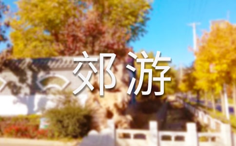 郊游小学作文(15篇)