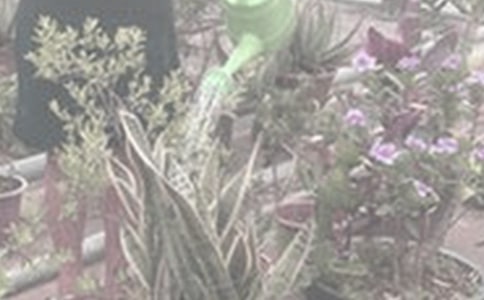 �������꼶�������İ�ƪ