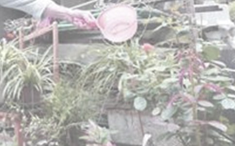 ʵ�õĽ�������300����ƪ