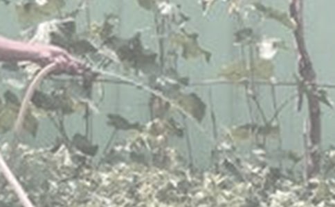 ��������600�ֺϼ���ƪ