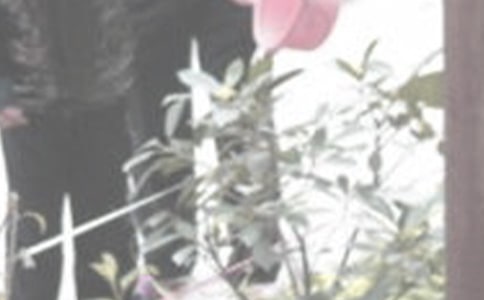 �йؽ�������300��5ƪ