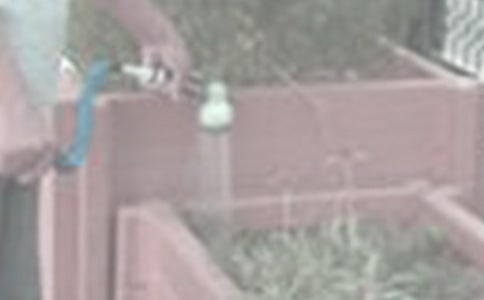 �йؽ�������300�ְ�ƪ