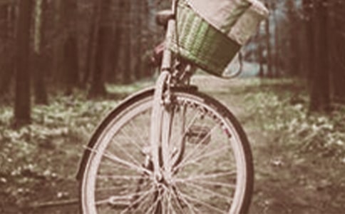 �Խ�̤��Ϊ����Ķ��꼶����