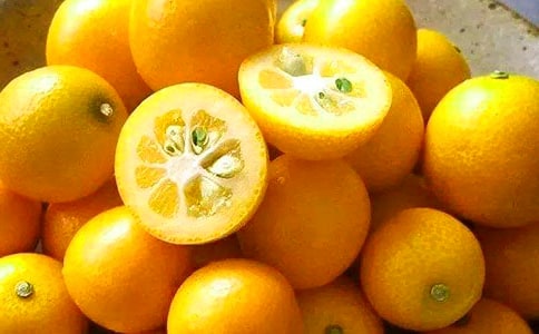 精选金桔的作文300字3篇