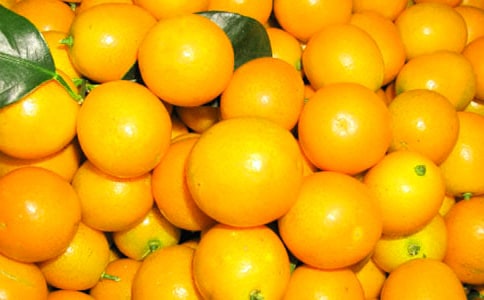 ���Ƽ�����۵�����300����ƪ