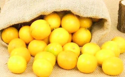 实用的金桔作文300字