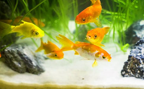 ��д���������300�ֱر�4ƪ